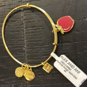 NWT Alex And Ani Red Apple Charm Bangle Bracelet Teacher Energy Adjustable​